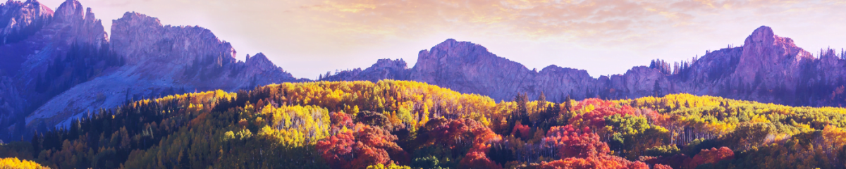 magic of fall in colorado